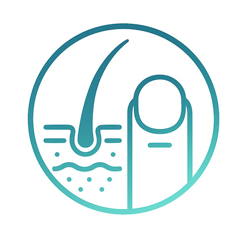 Hair Loss & Scalp